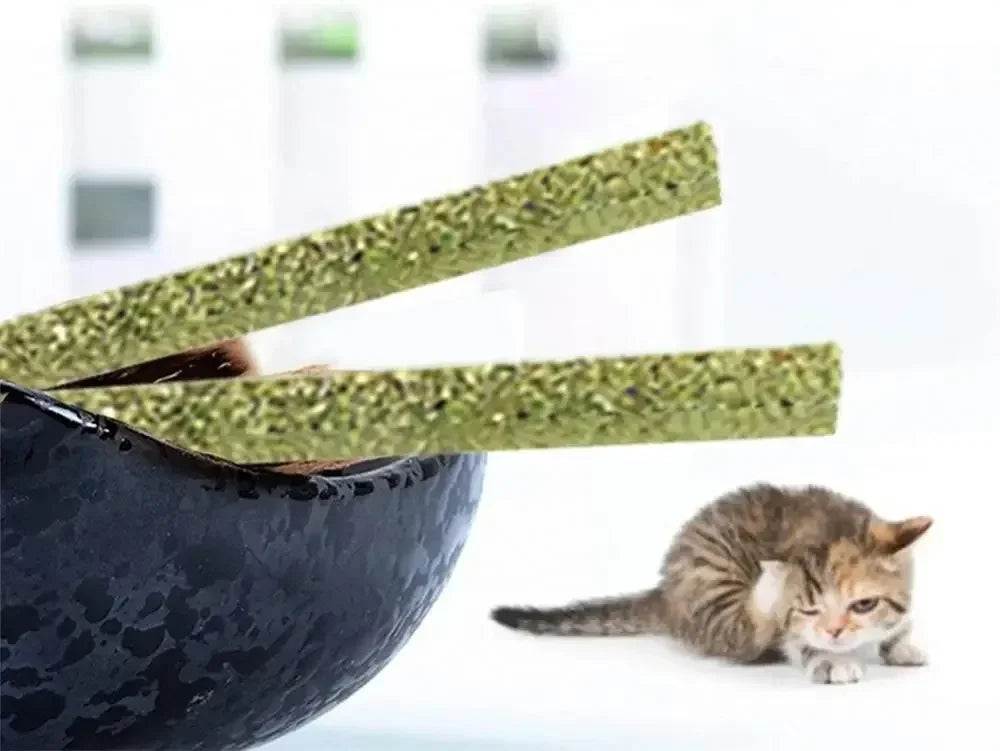 Natural Cat Silvervine Sticks